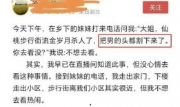 西湖爆料情感纠纷案件最新,一场剪不断理还乱的纠纷风云