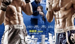 激战电视在线观看